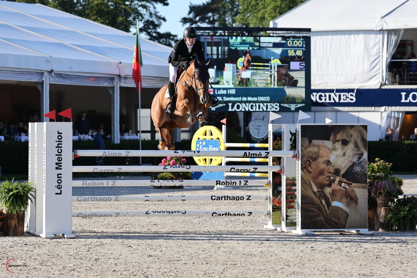 Sambucci de Muze Showjumping Stallion