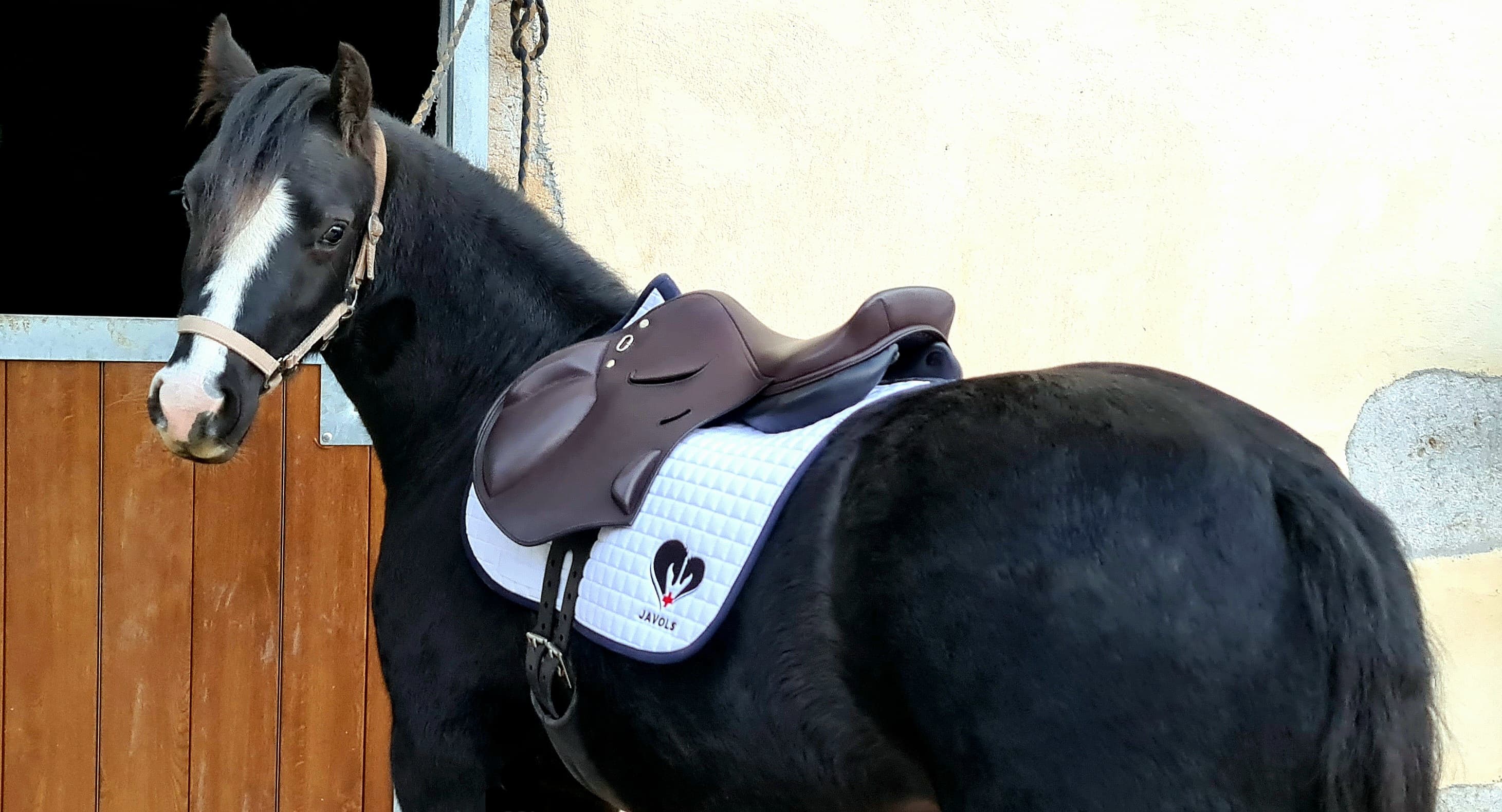 Blaencila Aretha mit ihrem Guy-Chanel-Ponysattel